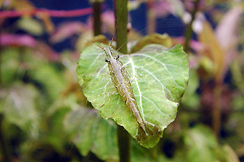 �~�i�~�k�}�G�r